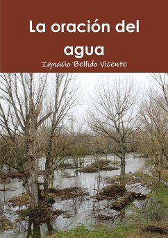 La oración del agua - Bellido Vicente, Ignacio