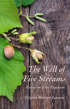 The Well of Five Streams - Laurie, Erynn Rowan
