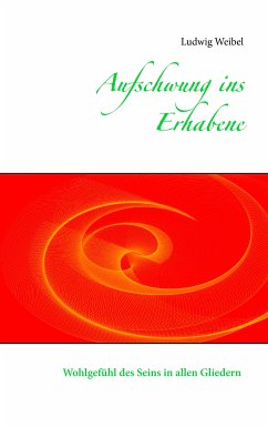 Aufschwung ins Erhabene (eBook, ePUB)