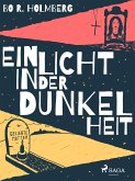 Ein Licht in der Dunkelheit (eBook, ePUB)