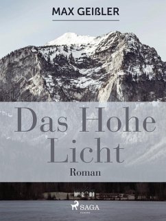 Das hohe Licht (eBook, ePUB) - Geißler, Max