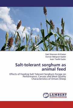 Salt-tolerant sorghum as animal feed