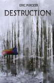 Destruction (Maereath: The War of the Democratic Coalition, #1) (eBook, ePUB)