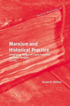 Marxism and Historical Practice (2 Vols) - Palmer, Bryan D.
