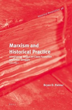 Marxism and Historical Practice (2 Vols) - Palmer, Bryan D