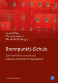 Brennpunkt(-)Schule (eBook, PDF)