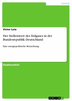 Der Stellenwert des Erdgases in der Bundesrepublik Deutschland (eBook, ePUB)
