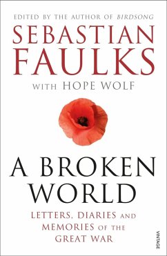 A Broken World (eBook, ePUB)