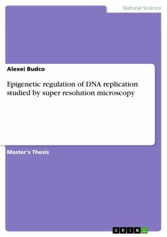 Epigenetic regulation of DNA replication studied by super resolution microscopy - Budco, Alexei