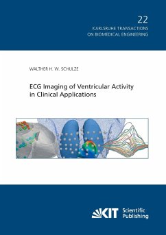 ECG Imaging of Ventricular Activity in Clinical Applications - Schulze, Walther H. W.