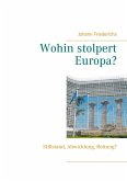 Wohin stolpert Europa? (eBook, ePUB)