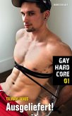 Gay Hardcore 01: Ausgeliefert! (eBook, ePUB)