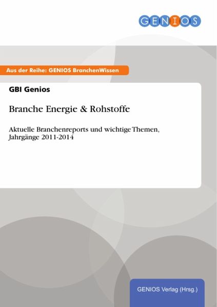 Branche Energie & Rohstoffe (eBook, PDF)