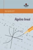 Álgebra lineal (eBook, PDF)