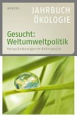 Gesucht: Weltumweltpolitik (eBook, PDF)