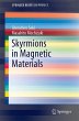 Skyrmions in Magnetic Materials - Bild 1