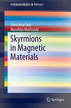 Skyrmions in Magnetic Materials - Seki, Shinichiro;Mochizuki, Masahito