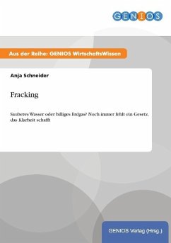 Fracking - Schneider, Anja