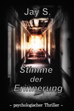 Stimme der Erinnerung (eBook, ePUB) - S., Jay