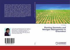 Planting Geometry and Nitrogen Management in Groundnut