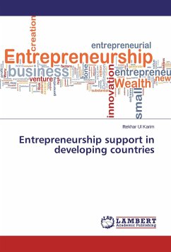 Entrepreneurship support in developing countries