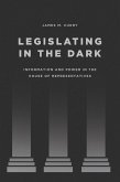 Legislating in the Dark (eBook, ePUB)