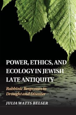 Power, Ethics, and Ecology in Jewish Late Antiquity (eBook, PDF) - Belser, Julia Watts