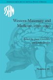 Western Maternity and Medicine, 1880-1990 (eBook, ePUB)