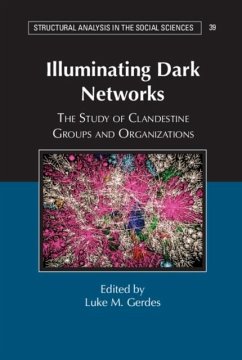 Cover Illuminating Dark Networks (eBook, PDF)