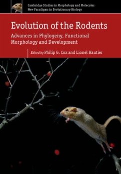 Evolution of the Rodents: Volume 5 (eBook, PDF)