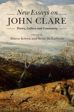 New Essays on John Clare (eBook, PDF)