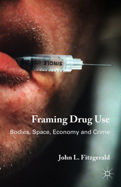 Framing Drug Use (eBook, PDF)