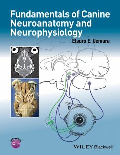 Fundamentals of Canine Neuroanatomy and Neurophysiology (eBook, ePUB) - Uemura, Etsuro E.