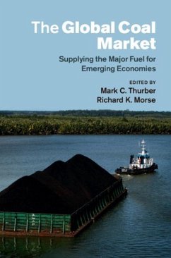 Cover Global Coal Market (eBook, PDF)