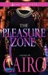 The Pleasure Zone (eBook, ePUB) - Bild 1