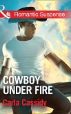 Cowboy Under Fire (Mills & Boon Romantic Suspense) (Cowboys of Holiday Ranch, Book 3) (eBook, ePUB)