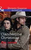Clandestine Christmas (eBook, ePUB)