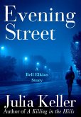 Evening Street (eBook, ePUB)