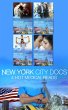New York City Docs (eBook, ePUB) - Bild 1
