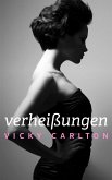 Verheißungen. Prickelnde Erotikgeschichten (eBook, ePUB)
