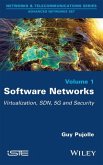 Software Networks (eBook, ePUB)