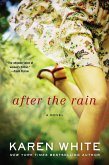 After the Rain (eBook, ePUB)
