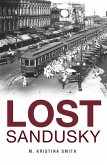 Lost Sandusky (eBook, ePUB)