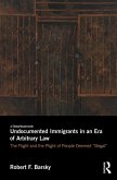 Undocumented Immigrants in an Era of Arbitrary Law (eBook, ePUB)