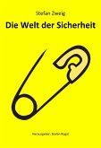 Die Welt der Sicherheit (eBook, ePUB)