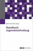 Handbuch Jugendstrafvollzug (eBook, PDF)
