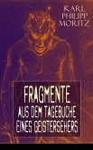 Fragmente aus dem Tagebuche eines Geistersehers (eBook, ePUB)