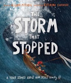 The Storm That Stopped Storybook - Mitchell, Alison