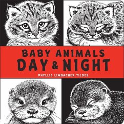 Baby Animals Day & Night - Tildes, Phyllis Limbacher