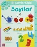 Sayilar